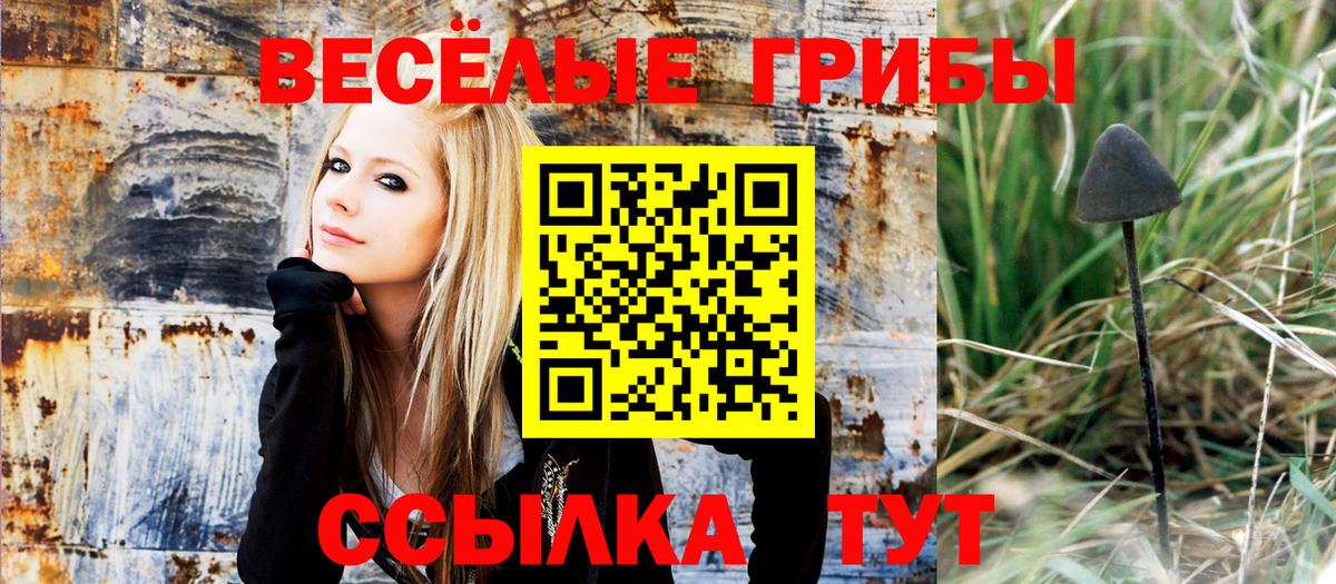 Челябинск  Псилоцибиновые грибы ЛСД  Псилоцибиновые грибы мухоморы  наркошоп  Вход с VPN 