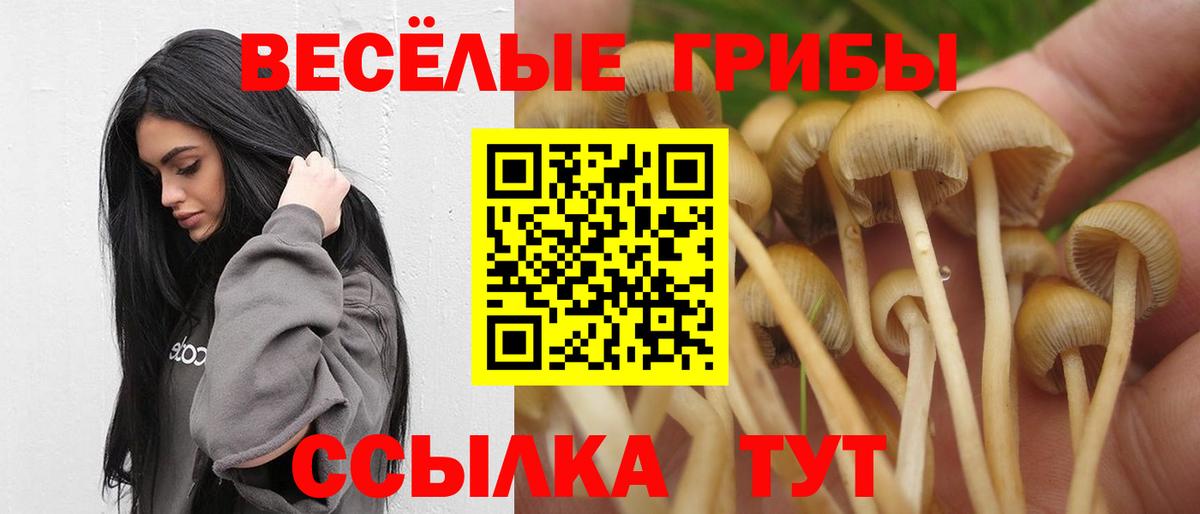 Галлюциногенные грибы прущие грибы Челябинск